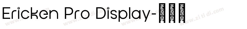 Ericken Pro Display字体转换
